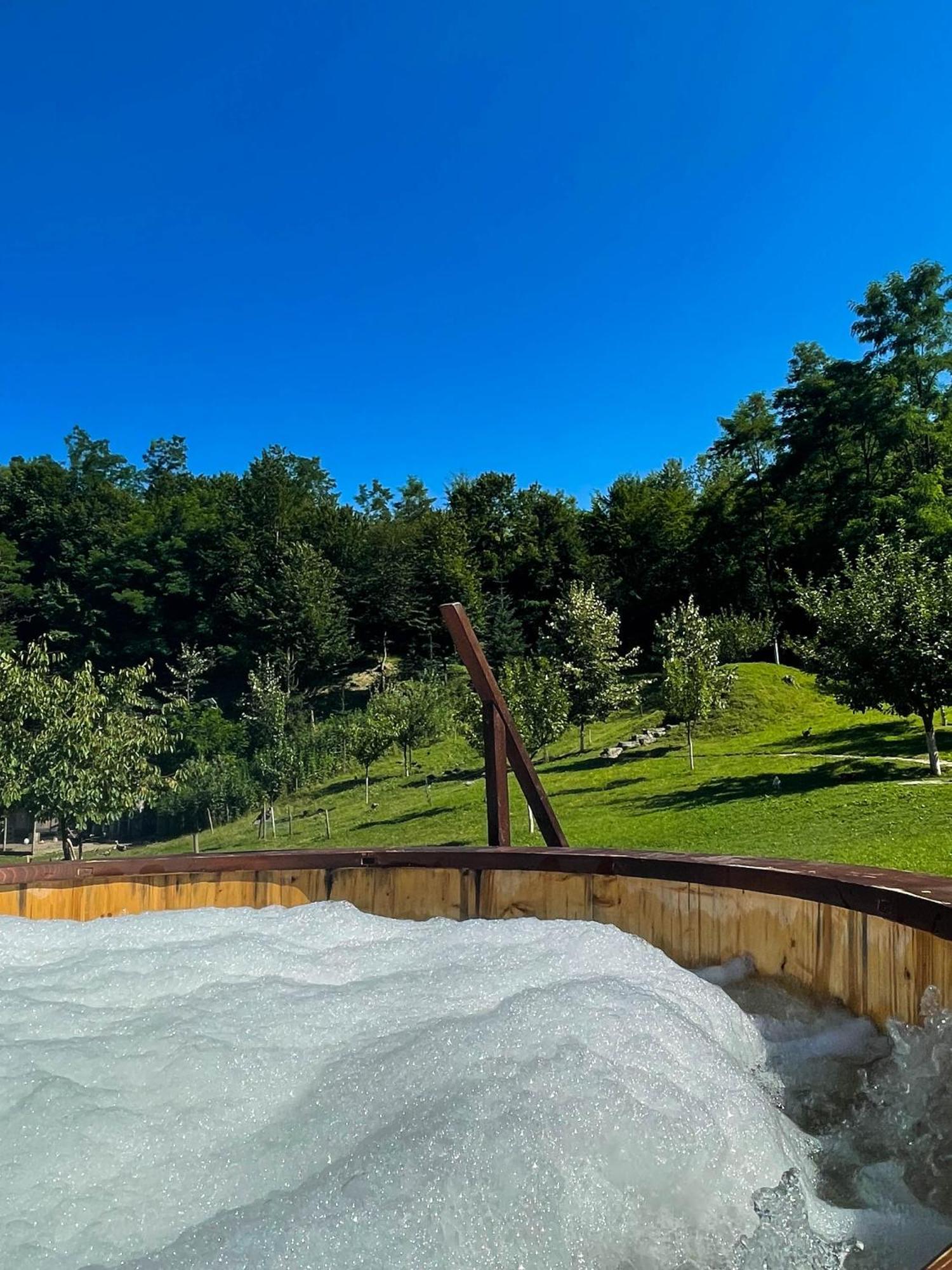 Cabana La Domnu' De Pe Vale Villa Aiud Bagian luar foto